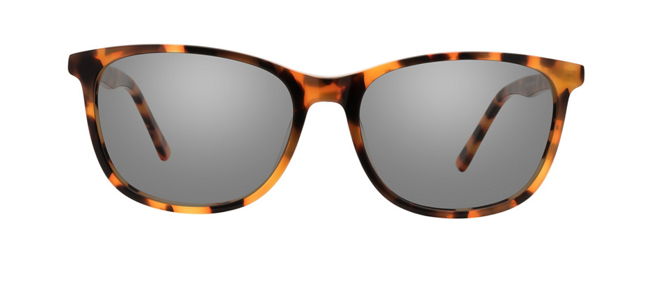 product image of Clearly Basics Kitsilano Écailles de tortue