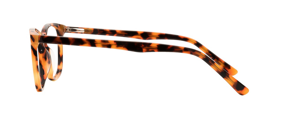 product image of Clearly Basics Kitsilano Écailles de tortue