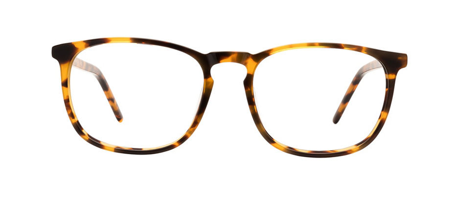 product image of Clearly Basics Mile End Tortoise