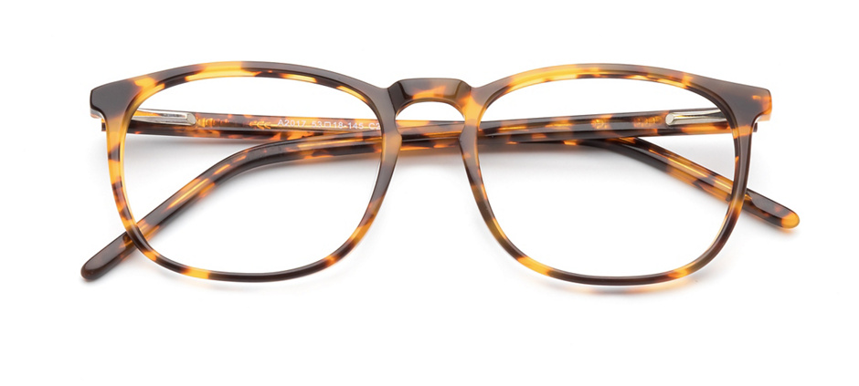 product image of Clearly Basics Mile End Tortoise