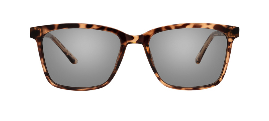 product image of Clearly Basics Burin-51 Tortoise