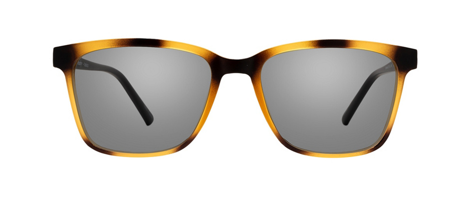 product image of Clearly Basics Carbonear-53 Matte Tortoise