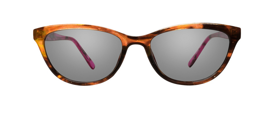 product image of Clearly Basics Port Hope Brown Tortoise