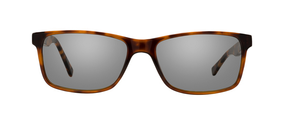 product image of Clearly Basics Leaf Rapids Brown Tortoise