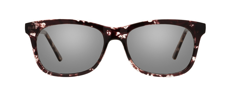 product image of Clearly Basics Hamilton Dark Tortoise