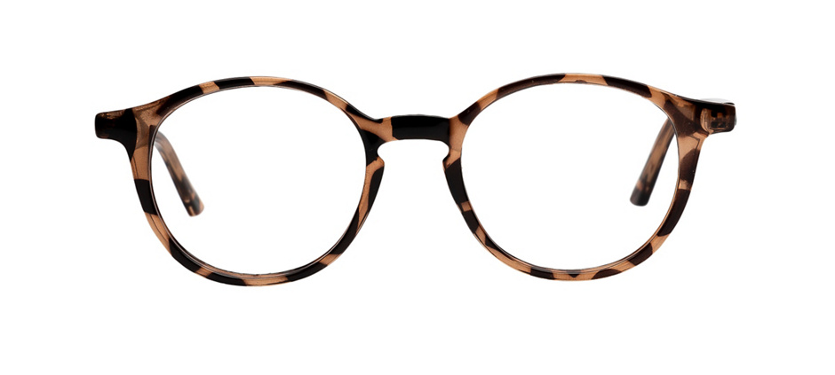 product image of Clearly Basics Carlyle Tortoise
