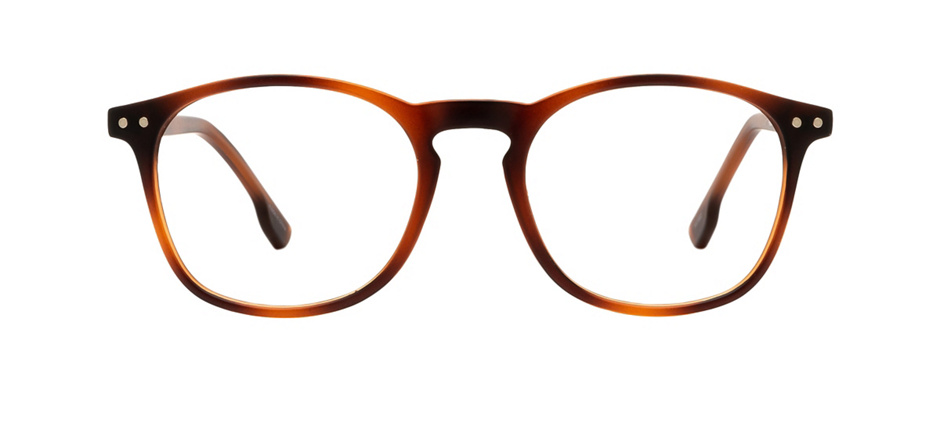product image of Clearly Basics Paquetville-49 Matte Dark Havana