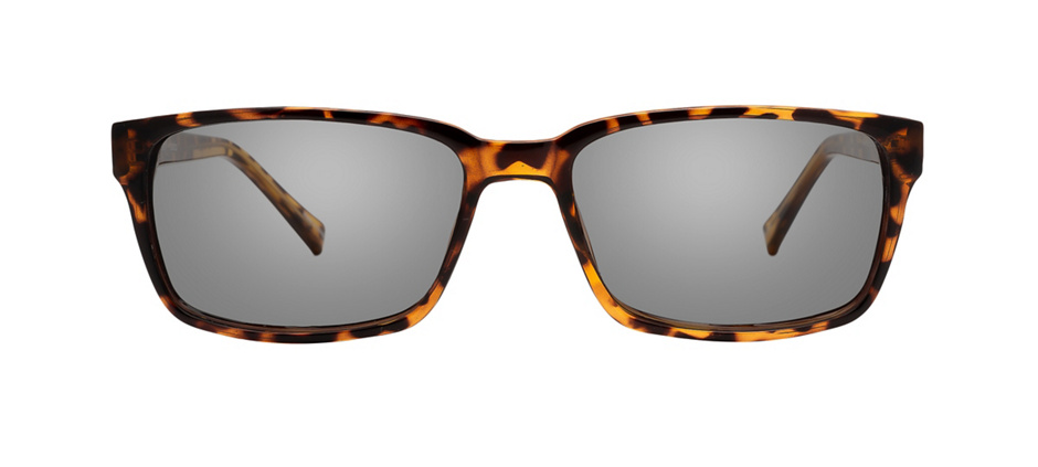 product image of Clearly Basics Savant Lake-57 Écailles de tortue