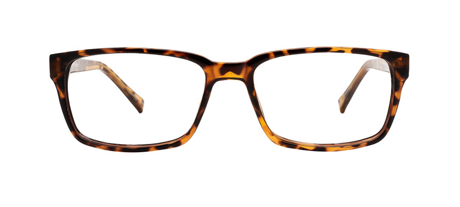 product image of Clearly Basics Savant Lake-57 Écailles de tortue