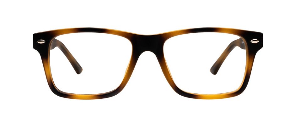 product image of Clearly Basics Steinbach-53 Matte Tortoise