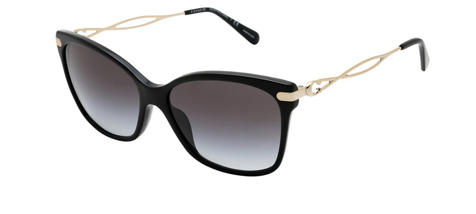 product image of Coach HC8316-58 Black