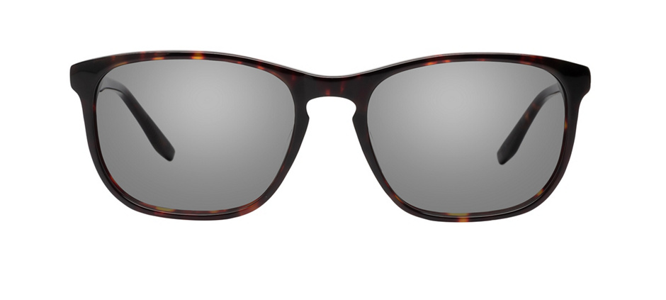 product image of Joseph Marc Kish-53 Tortoise