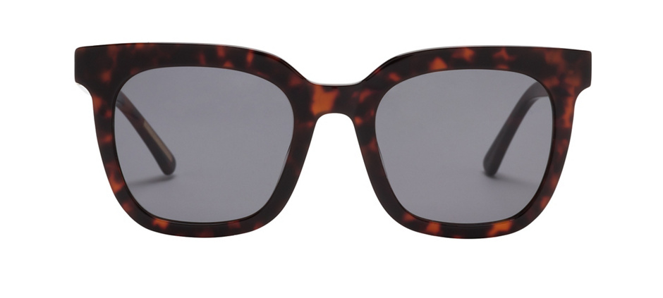 product image of Kam Dhillon Camille-51 Tortoise