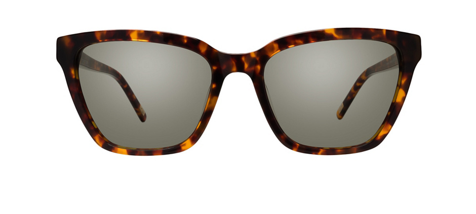 product image of Main And Central Cronulla-54 Tortoise