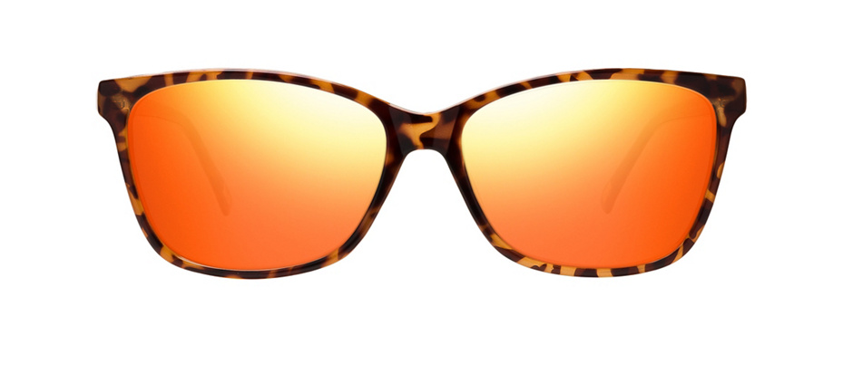 product image of Main And Central Crown Heights-54 Écailles de tortue
