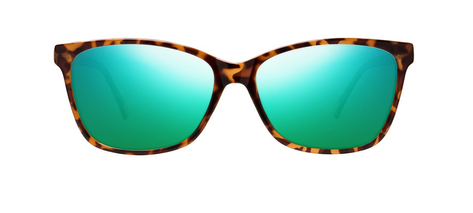 product image of Main And Central Crown Heights-54 Écailles de tortue