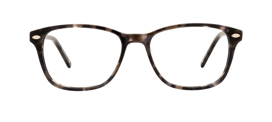 product image of Main And Central Dundalk-54 Havana Dark