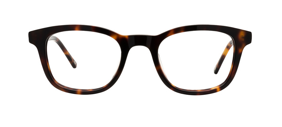 product image of Main And Central Morgan Park-50 Écailles de tortue chaudes