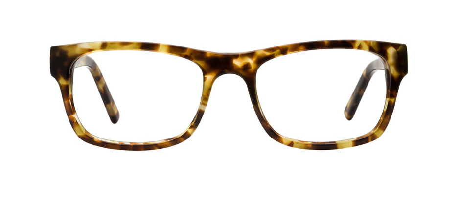 product image of Main And Central Springfield-52 Brown Tortoise
