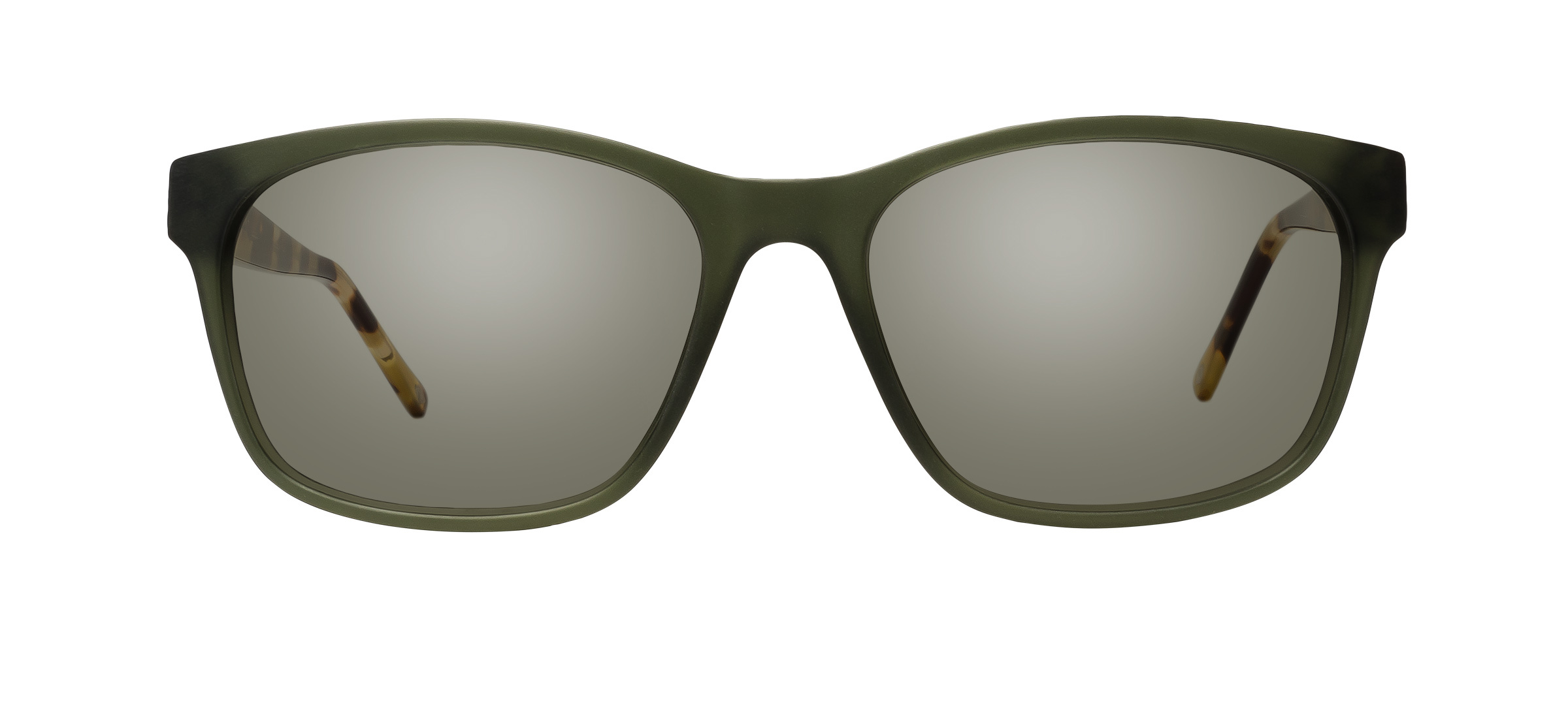 product image of Main And Central Turtle Bay-55 Olive Tortoise