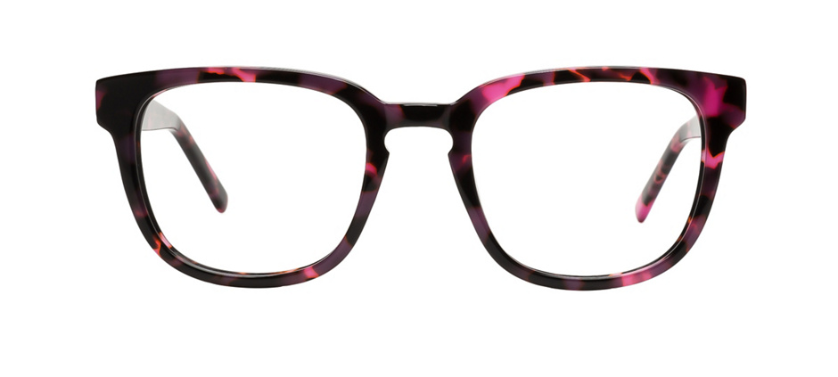 product image of Main And Central Wednesday-S Plum Tortoise