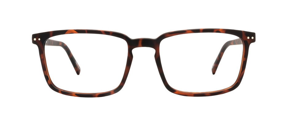 product image of Reincarnate Curlew-55 Tortoise