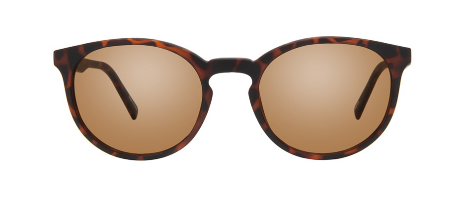 product image of Reincarnate Currasow-52 Tortue