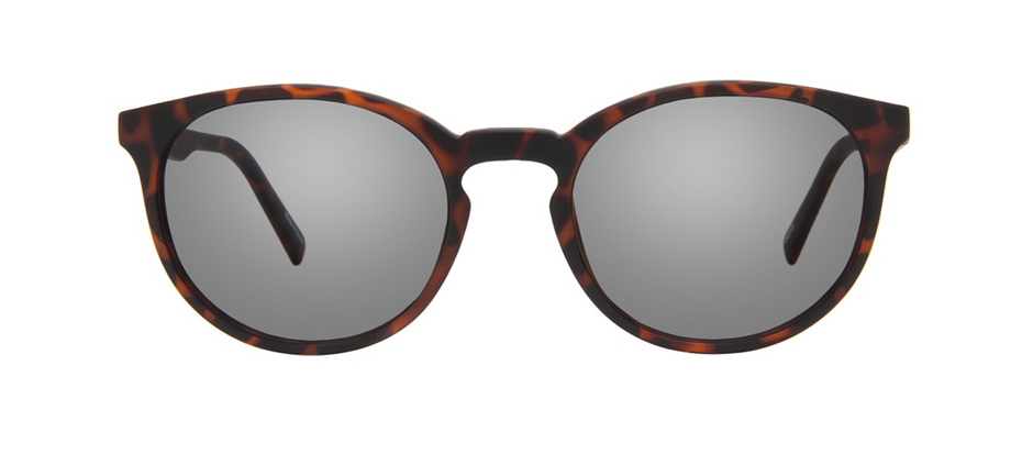 product image of Reincarnate Currasow-52 Tortue