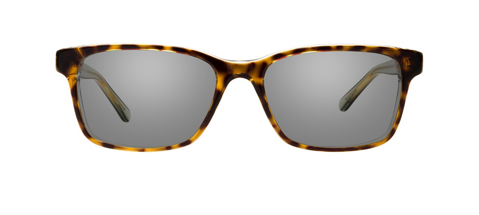 Tory Burch TY2064-52 Glasses | Clearly